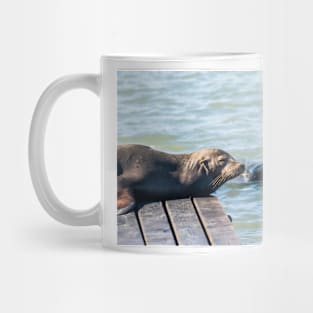 Female Sea Lion Mug